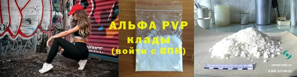 крисы Няндома