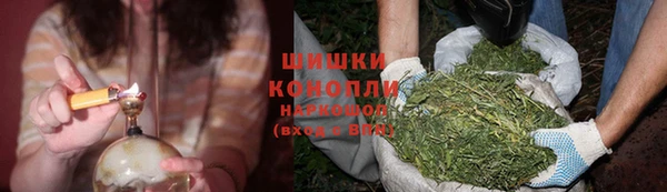 крисы Няндома