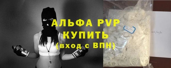 крисы Няндома