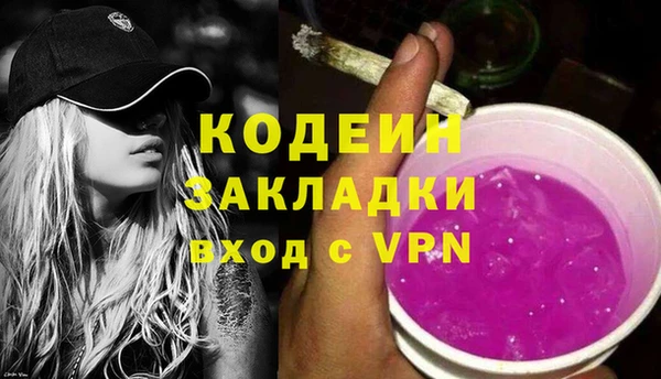 крисы Няндома