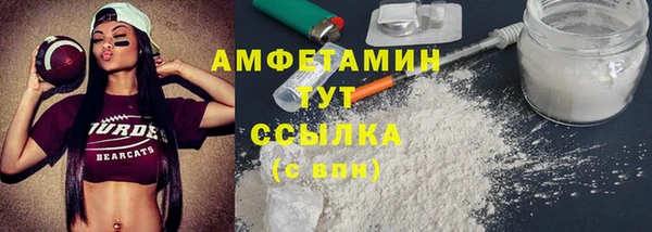 крисы Няндома