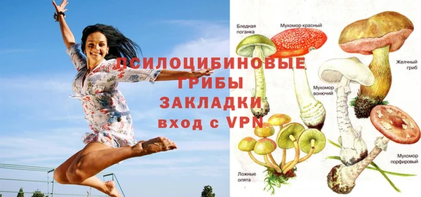 spice Нязепетровск