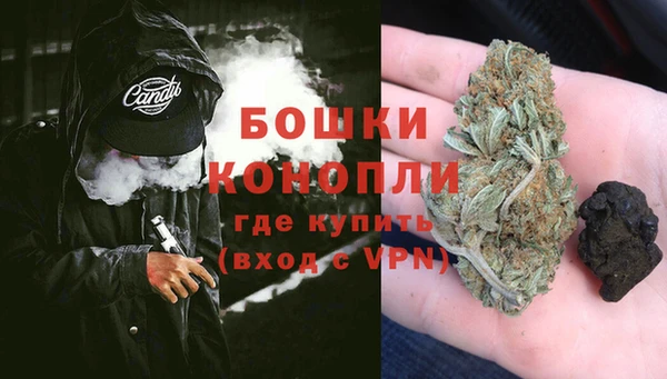 крисы Няндома