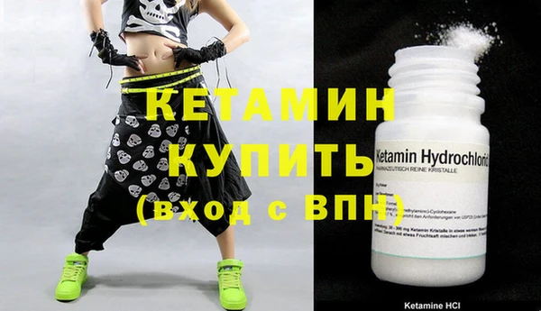 крисы Няндома