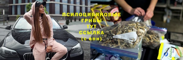 крисы Няндома