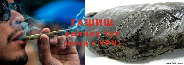 крисы Няндома